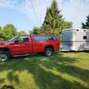 2 Horse Straightload Trailer