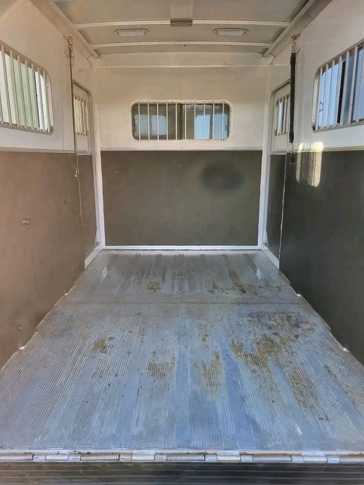 2004 Exiss Event SS20/RP, 2-Horse Straight Load Trailer With Ramp – Premium Horse Trailer for Safe & Reliable Transport - Image 11